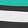BLACK & MINT color swatch for Striped Cheeky Bikini Bottom
