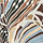 IVORY KHAKI color swatch for Printed Long Sleeve Top