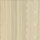 IVORY GOLD color swatch for Scallop Trim Sleeveless Top
