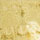 YELLOW color swatch for Lace Button Up Dress