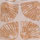 TAN PRINT color swatch for Shell Print Button Down Dress