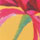 YELLOW MULTI color swatch for Floral Triangle Bikini Top, Loop Classic Bikini Bottom