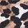 LEOPARD color swatch for Leopard Print Underwire Bikini Top, Print Classic Bikini Bottom
