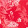 RED PRINTED color swatch for Floral Sweetheart Neckline Dress