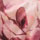 ROSE WINE color swatch for Tie Detail Print Top